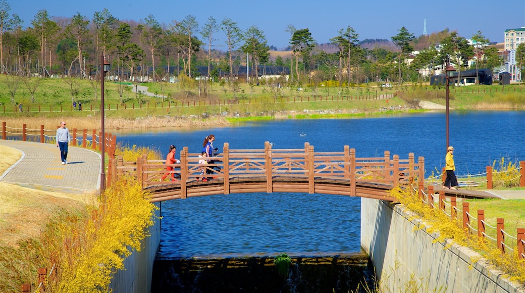 Domaine skiable d\'Alpensia qui includes riviĂšre ou ruisseau et pont aussi bien que famille