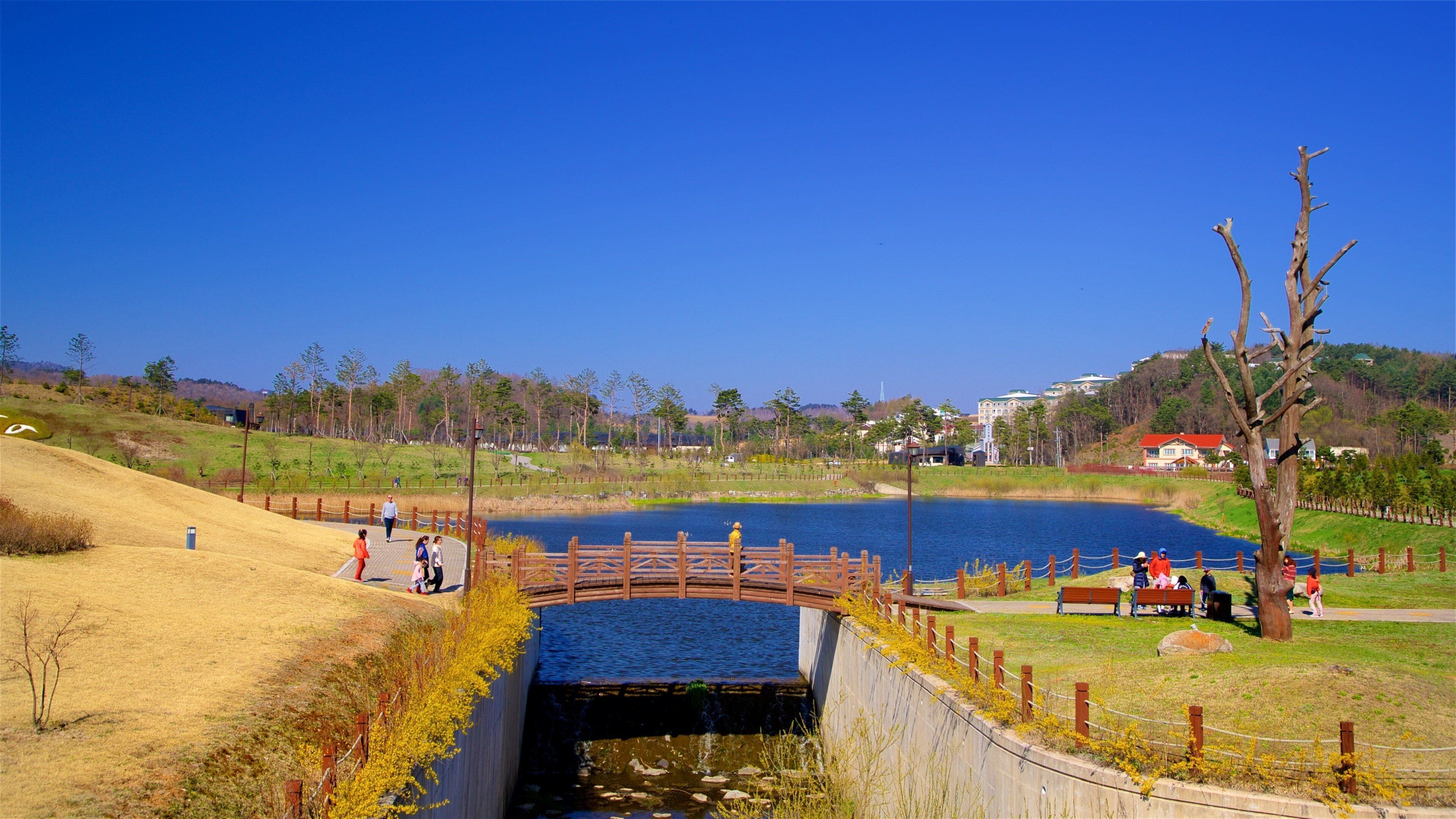 Estação de esqui Alpensia caracterizando um parque, um lago ou charco e uma ponte