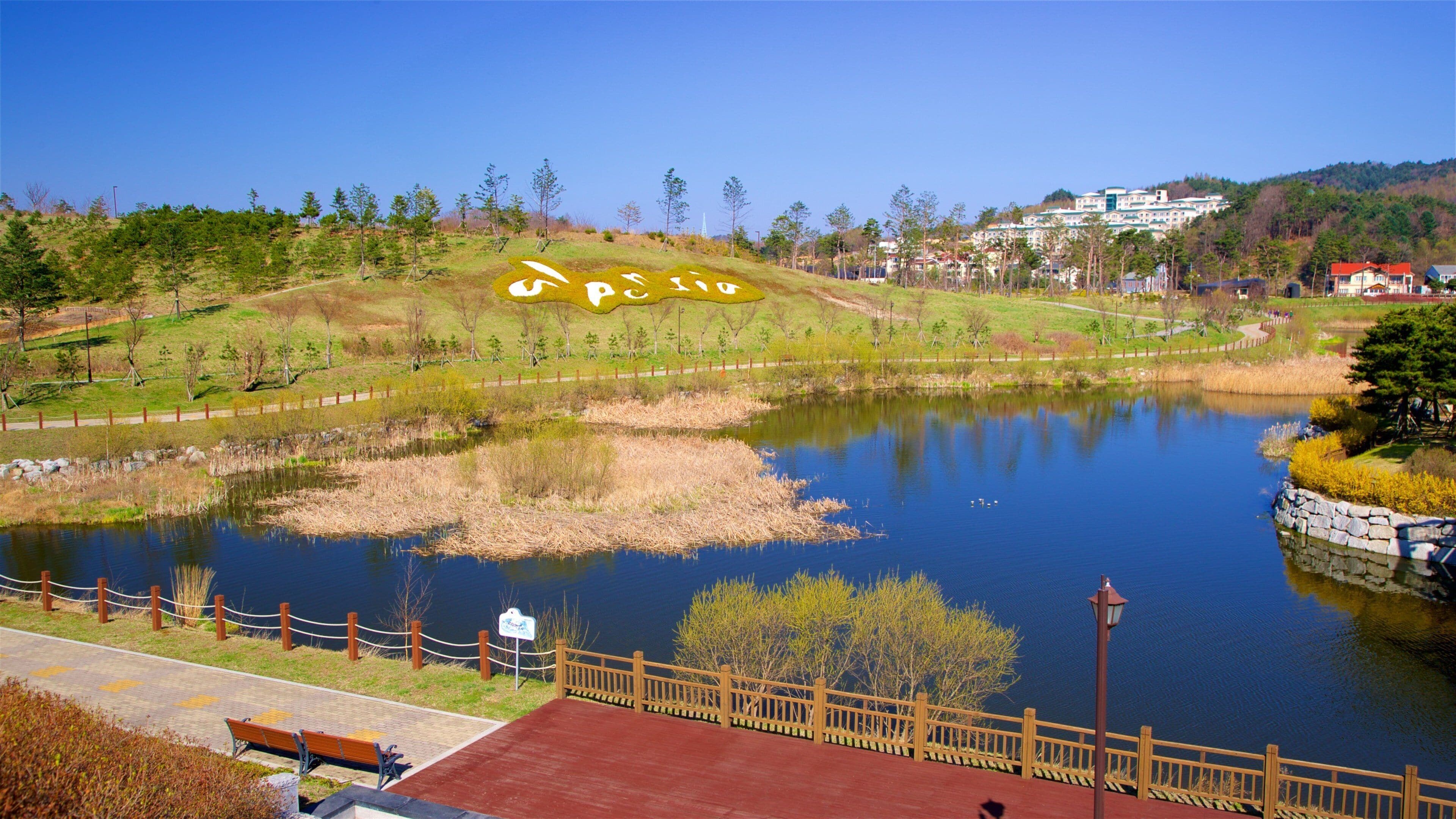 A serene lake with a wooden walkway and benches, surrounded by trees and a hill with buildings in the background.