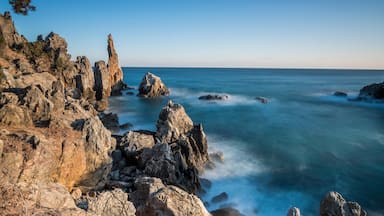 A rocky coastline with prominent rock formations and a calm sea.