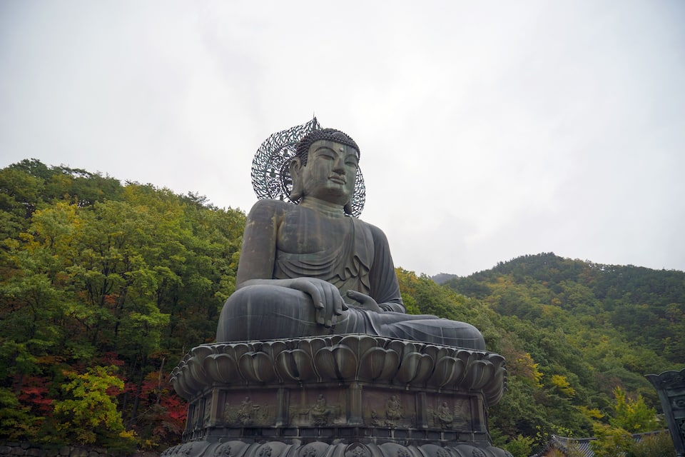 A large seated Buddha statue surrounded by lush green trees and hills.