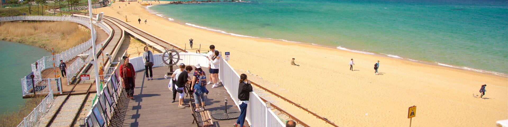 A wooden boardwalk with people walking along it, overlooking a sandy beach and turquoise waters.