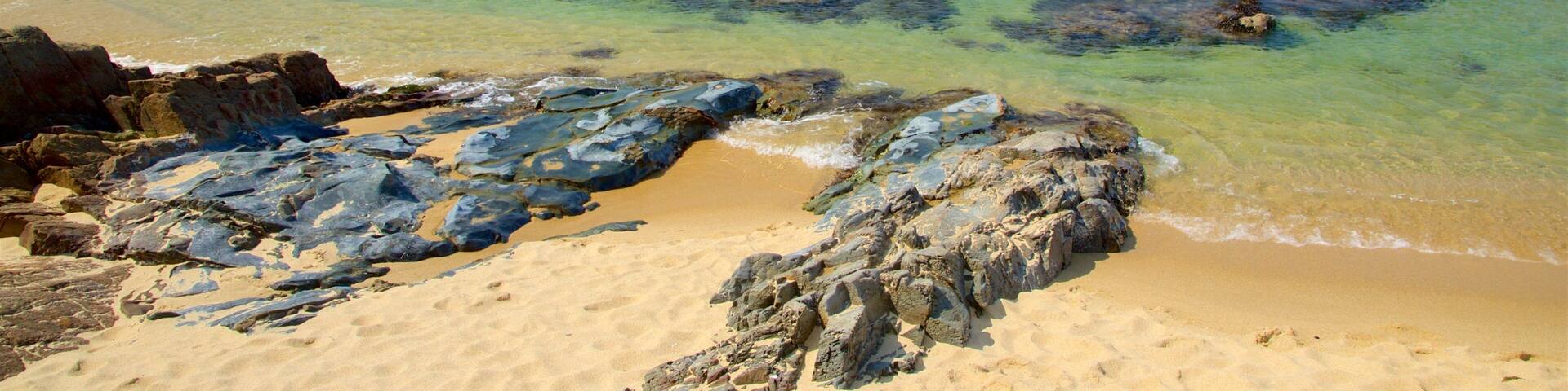 Jeongdongjin Beach showing general coastal views, rugged coastline and a beach
