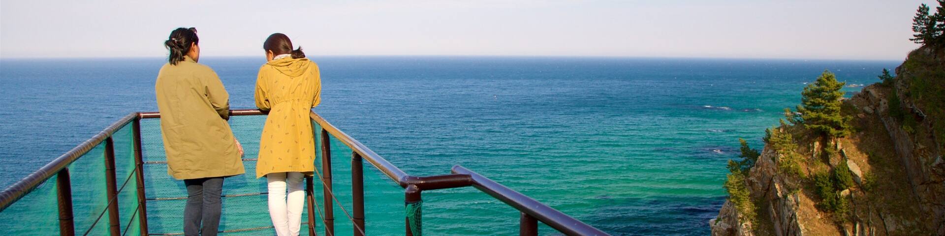 Gangneung mostrando costa escarpada, vista y vista general a la costa