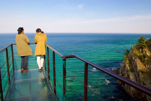 Gangneung showing general coastal views, views and rugged coastline