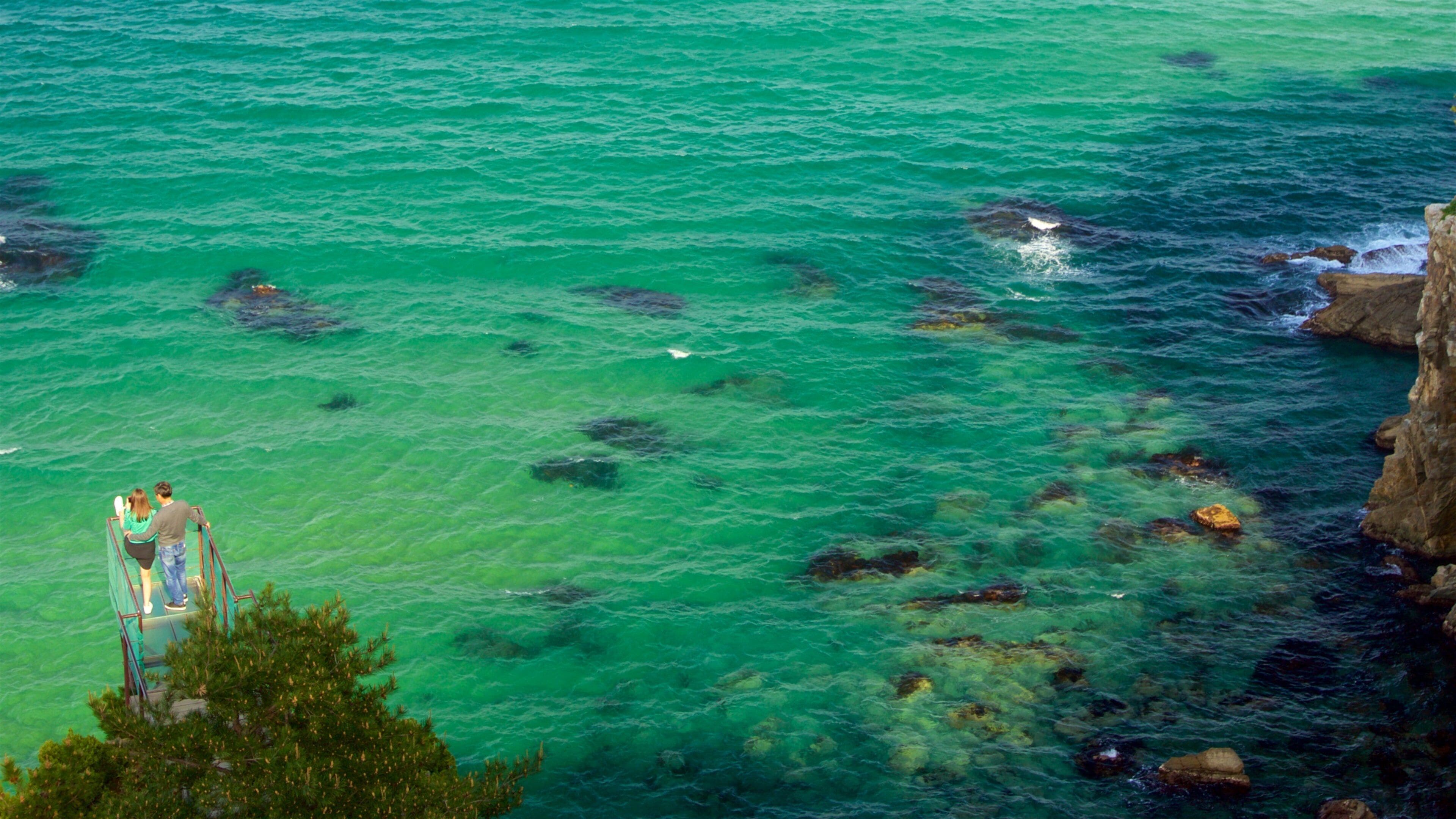 Jeongdongjin Sculpture Park showing rocky coastline and general coastal views as well as a couple