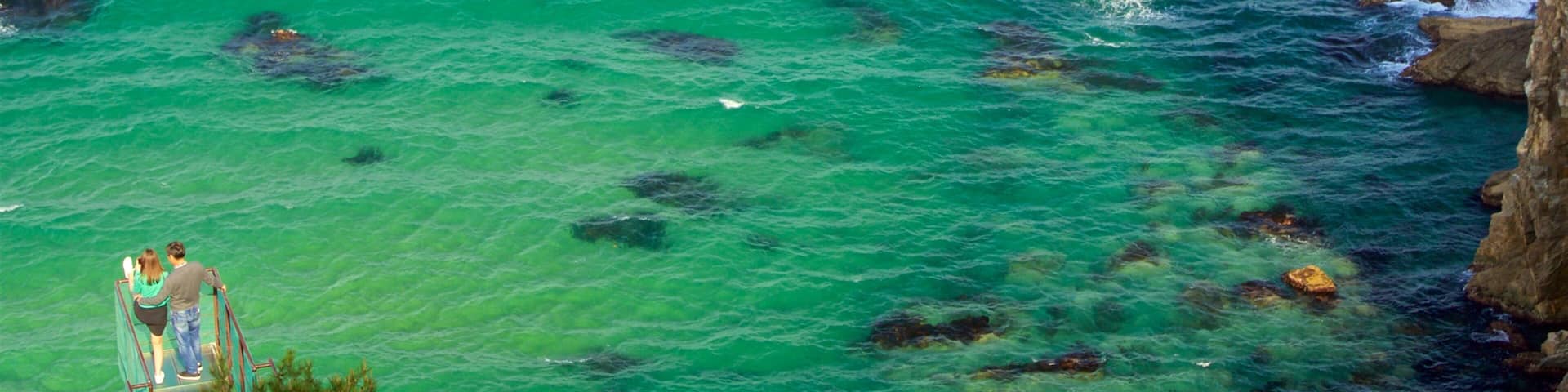 Jeongdongjin Sculpture Park showing rocky coastline and general coastal views as well as a couple