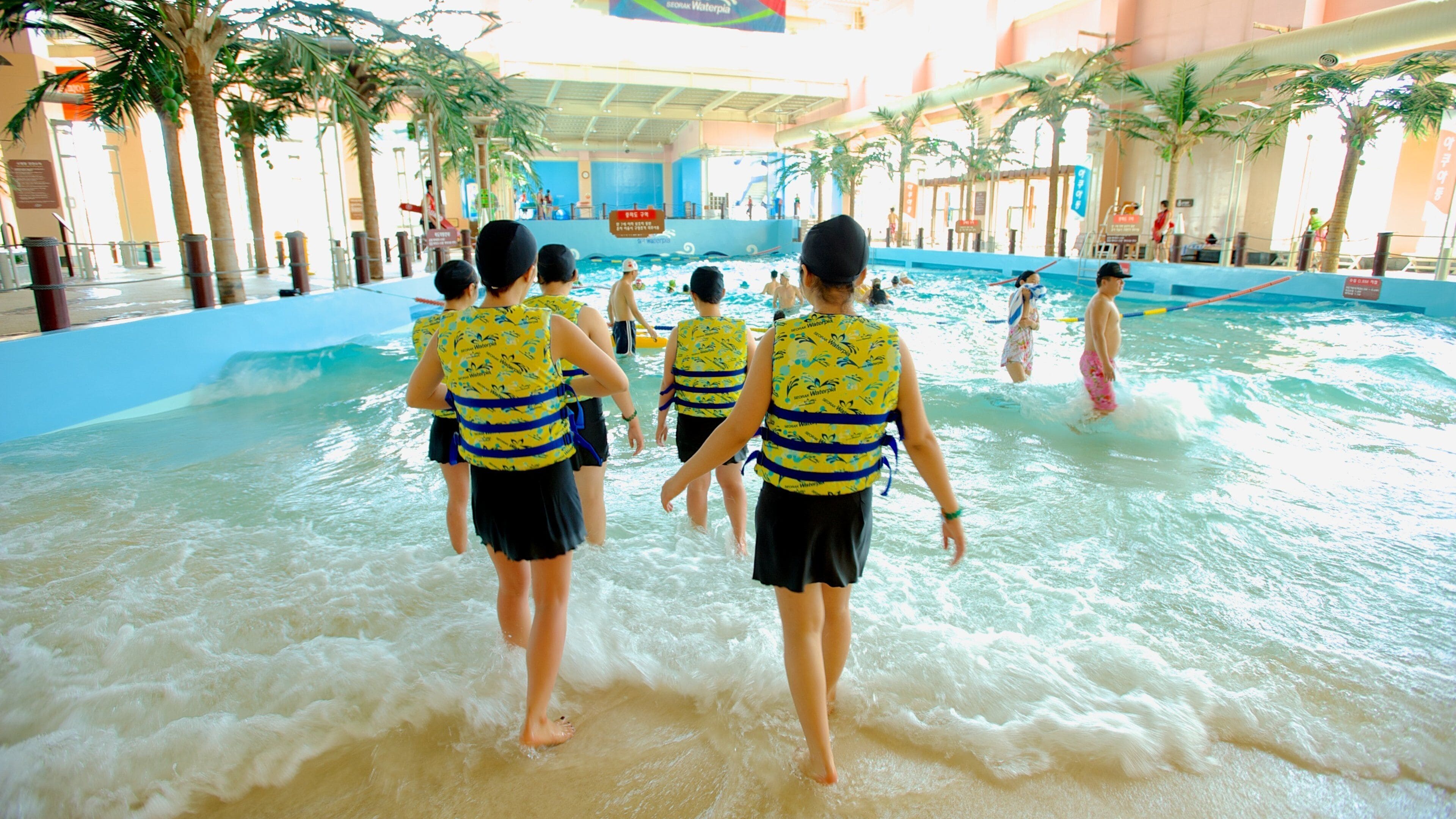 Sokcho which includes interior views, rides and a water park