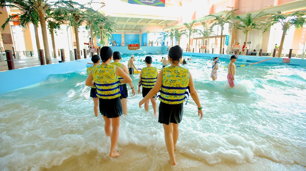 Sokcho which includes interior views, rides and a water park