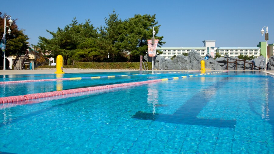 Seorak Waterpia featuring a pool