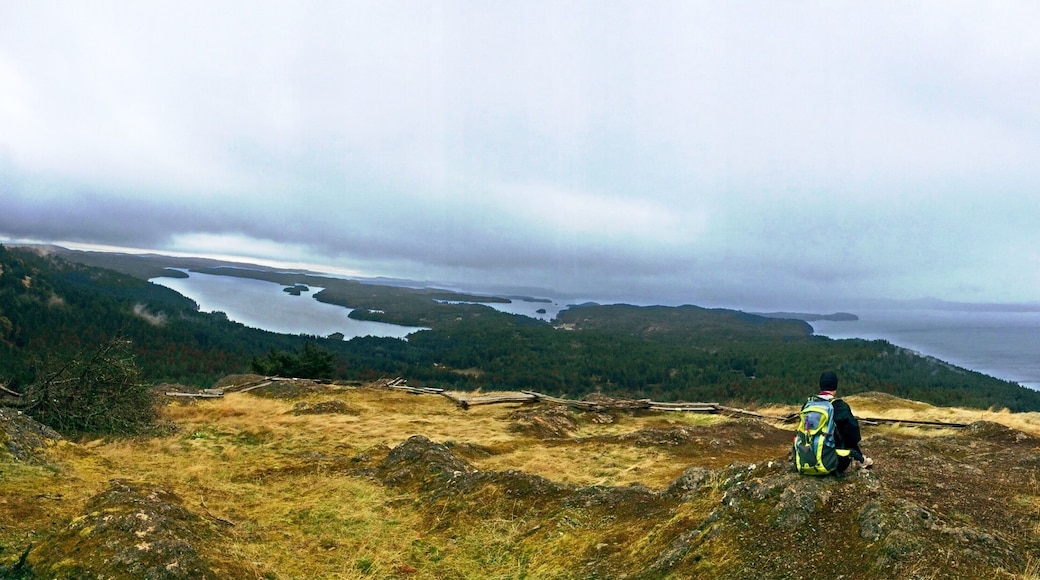 Waldron Lookout, accessible via a spur trail at 1.5 miles up the northern trail.
Turtleback Mountain is a wilderness-preservation success story. Recently the target of a development effort on Orcas Island, a popular weekend destination for people from Seattle, it was saved from that fate largely by the efforts of one man and his organization, Tim Seifert, executive director of the San Juan Preservation Trust. Thanks to their work, the mountain is now a wilderness area, in perpetuity. As a bonus, a network of trails is now available to allow hikers and sight-seers a chance to explore the mountain. The trails are beautiful and serene and not nearly as crowded as those on the more popular Mount Constitution, which sits on the other side of the island. There are just a few open viewpoints, such as this one, but they do pack a punch. Beyond that, the forest scenery is just fantastic.