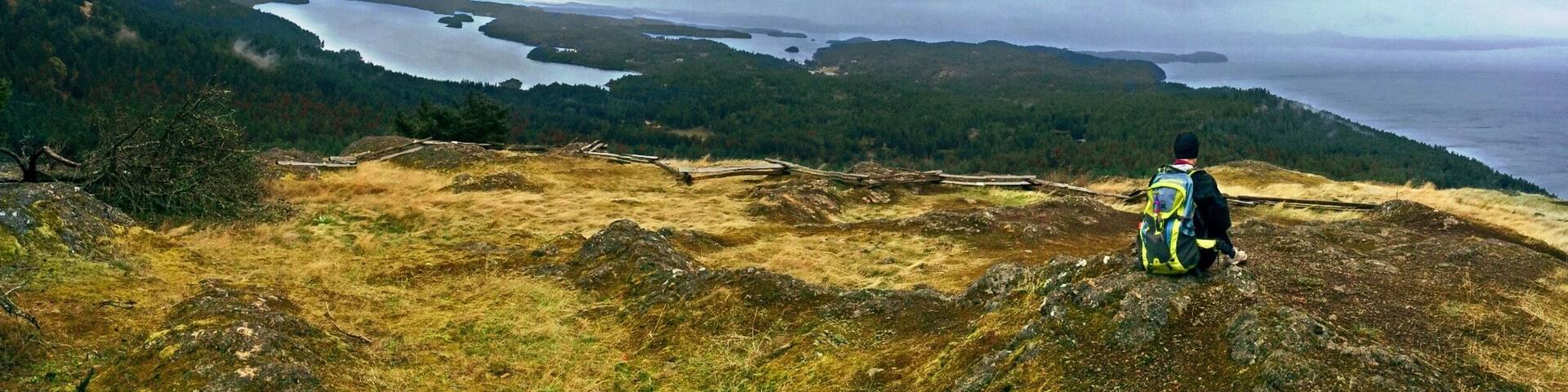 Waldron Lookout, accessible via a spur trail at 1.5 miles up the northern trail.
Turtleback Mountain is a wilderness-preservation success story. Recently the target of a development effort on Orcas Island, a popular weekend destination for people from Seattle, it was saved from that fate largely by the efforts of one man and his organization, Tim Seifert, executive director of the San Juan Preservation Trust. Thanks to their work, the mountain is now a wilderness area, in perpetuity. As a bonus, a network of trails is now available to allow hikers and sight-seers a chance to explore the mountain. The trails are beautiful and serene and not nearly as crowded as those on the more popular Mount Constitution, which sits on the other side of the island. There are just a few open viewpoints, such as this one, but they do pack a punch. Beyond that, the forest scenery is just fantastic.