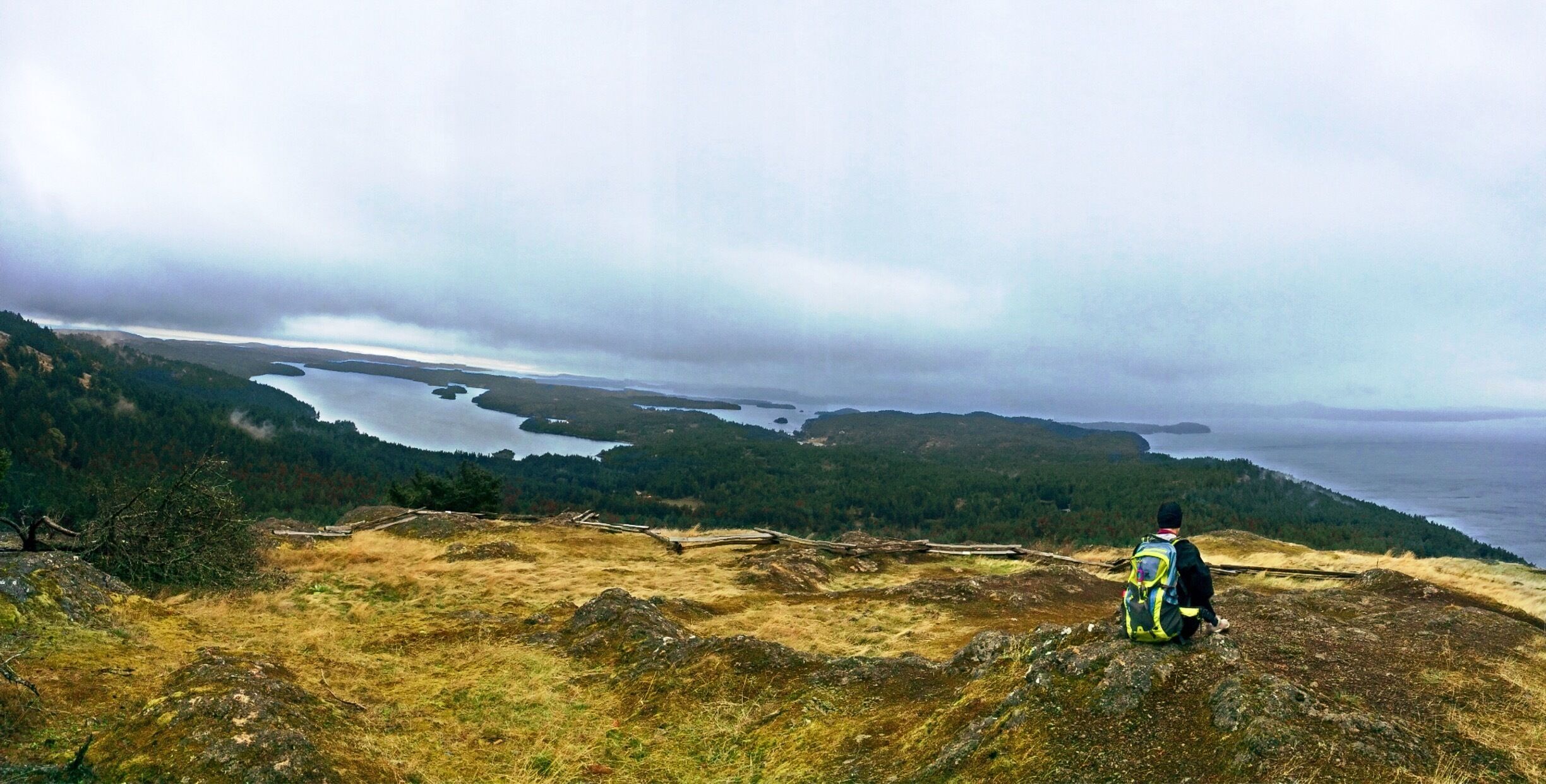 A hiker on a grassy hill overlooking a fjord with a forested coastline.