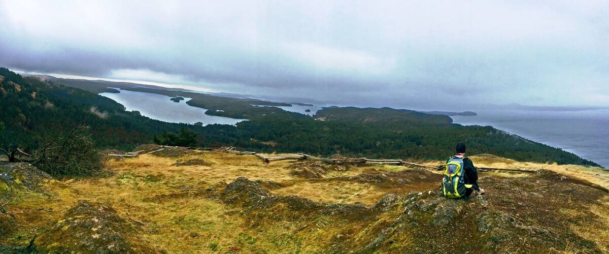 A hiker on a grassy hill overlooking a fjord with a forested coastline.