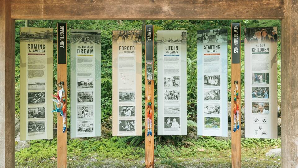 A display of historical information boards about immigration to America.