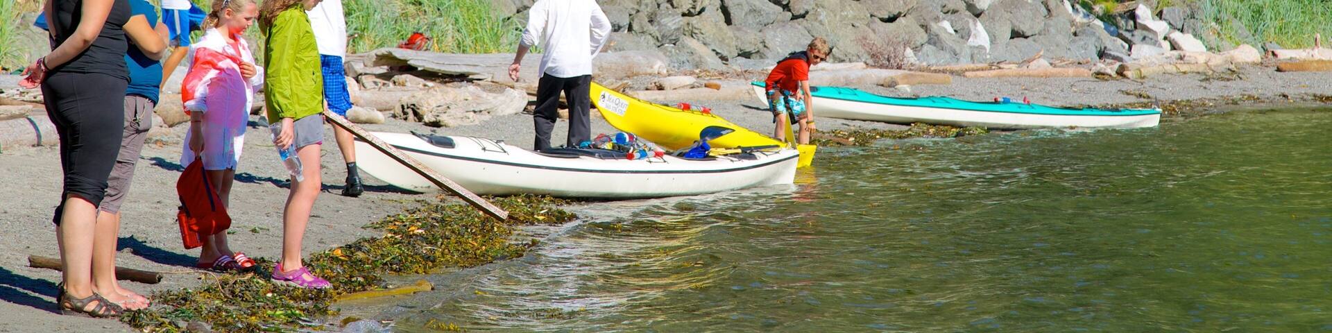 San Juan County Park which includes a lake or waterhole as well as a small group of people