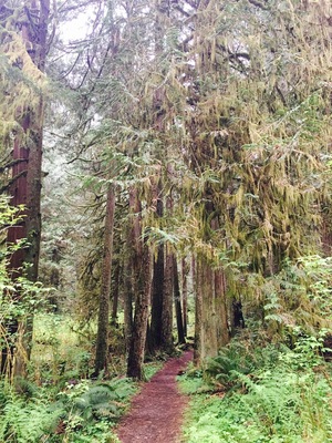 Pictures can't portrait. Beautiful 2 mile walk mostly along the river