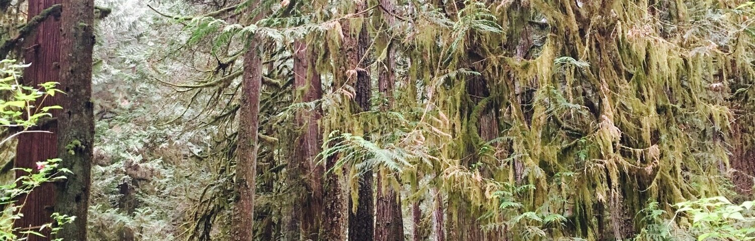 Pictures can't portrait. Beautiful 2 mile walk mostly along the river