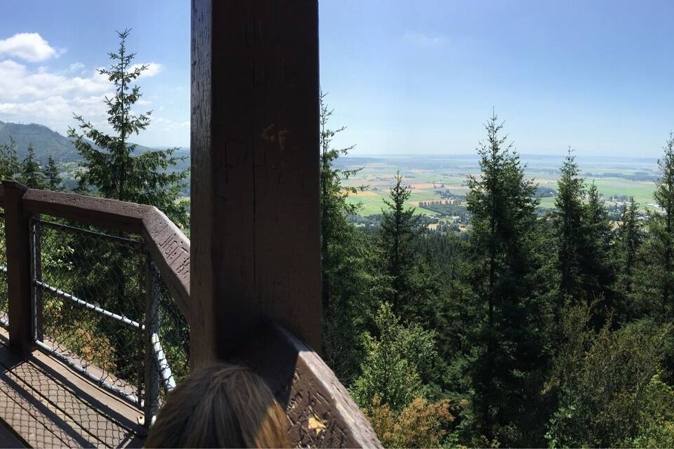 Una pasarela de madera con vistas a un valle boscoso y colinas distantes.