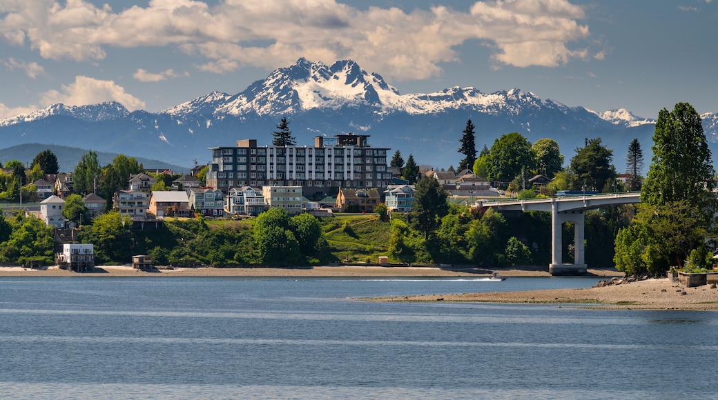 Bremerton Washington Waterfront With Olympic Mountain View