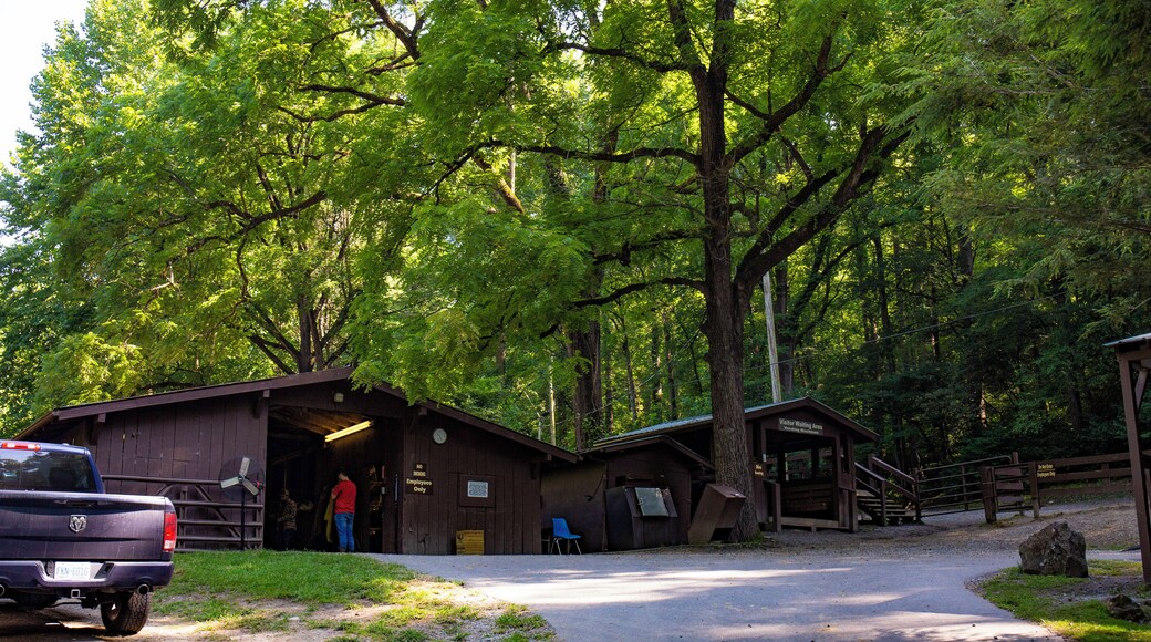 Cherokee_SmokemontRidingStables_553248621551385144_03