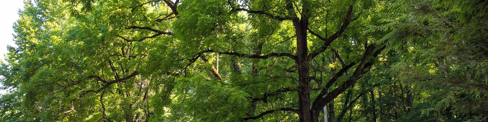 Cherokee_SmokemontRidingStables_553248621551385144_03