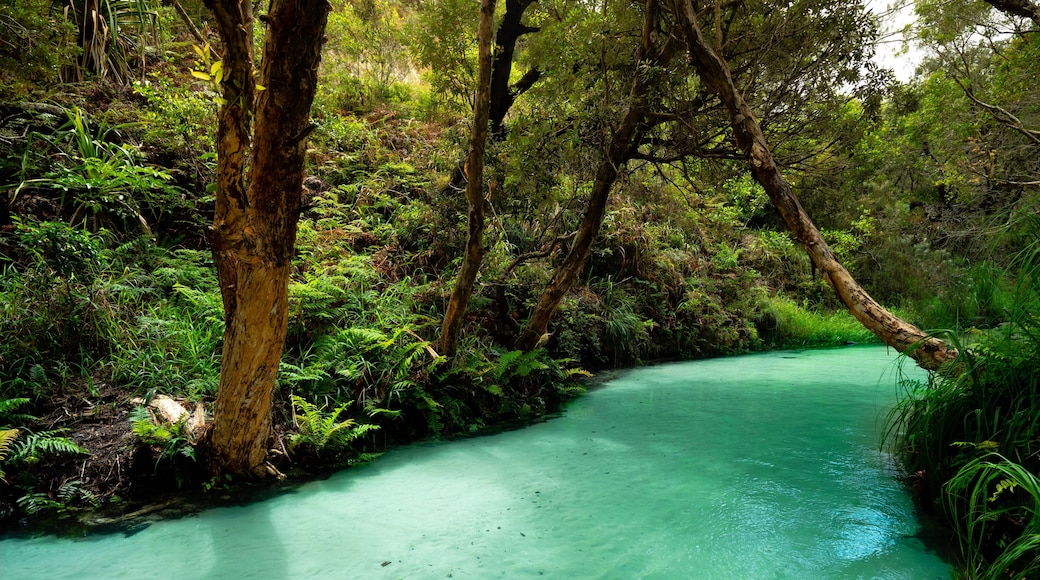 Eli Creek