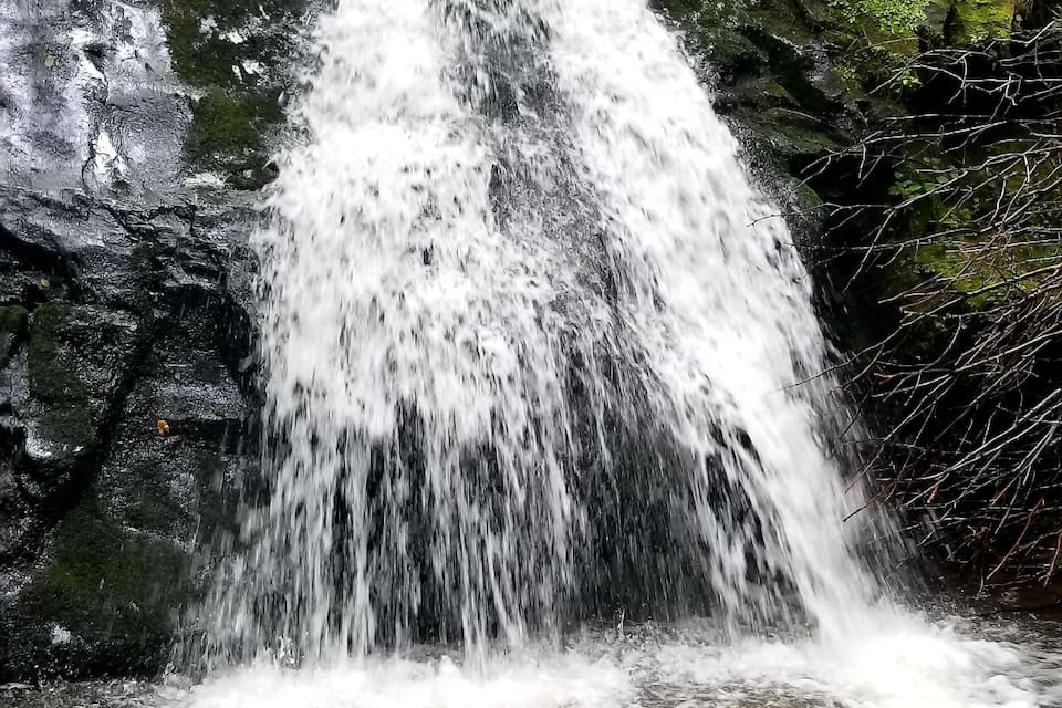 Uma cachoeira em área arborizada, com rochas cobertas de musgo e um tronco caído na água.