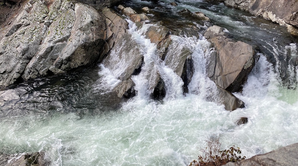 On the way to Cades Cove in Smoky Mountain from Gatlinburg, TN you’ll find these sinks but you may miss it if you blink. It’s on curve where the road turns. Very serene and peaceful. #lifeatExpedia