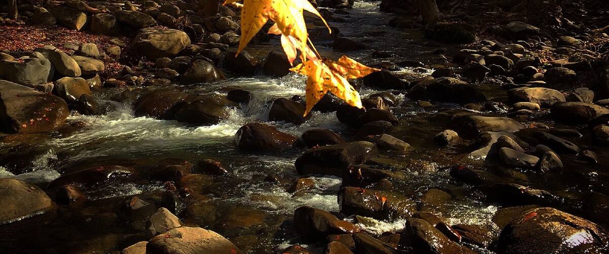 Beautiful place to see the fall color.