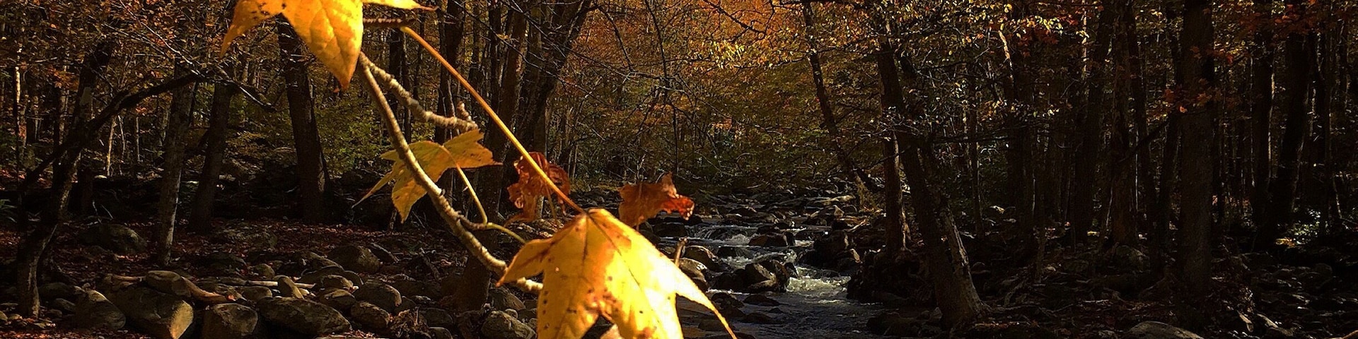 Beautiful place to see the fall color.