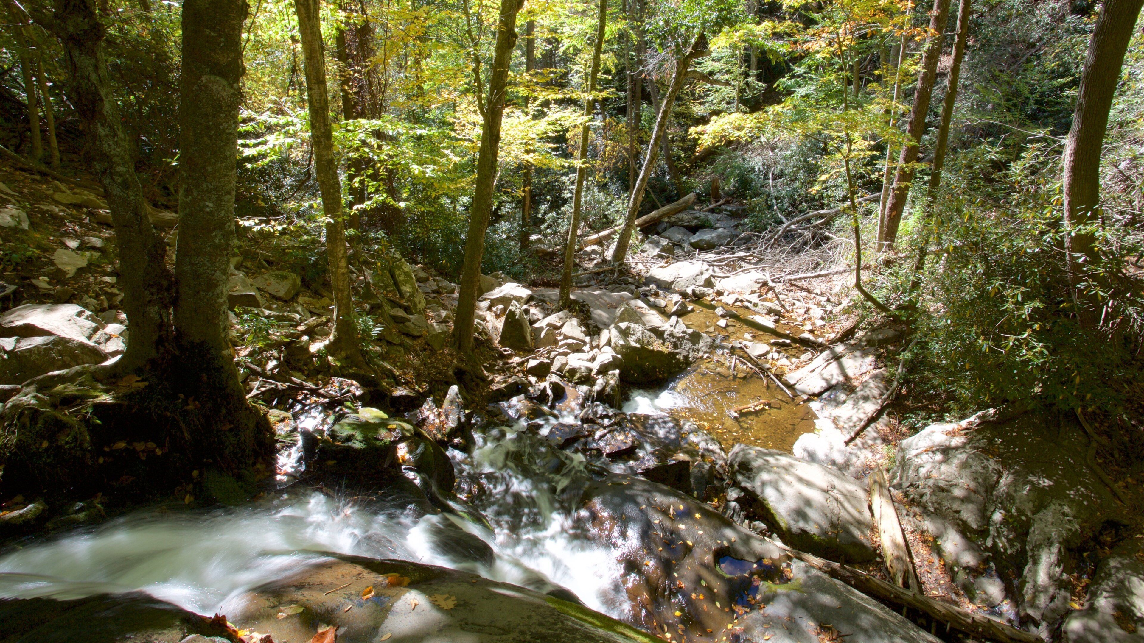 Great Smoky Mountains National Park featuring a cascade and forests