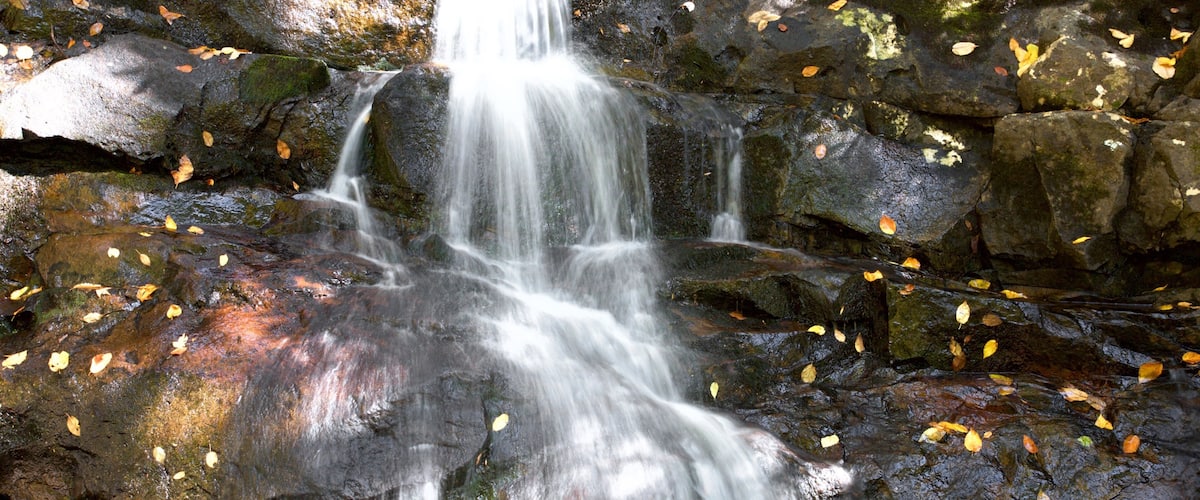 Laurel Falls showing a waterfall