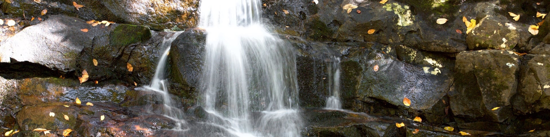 Laurel Falls showing a waterfall