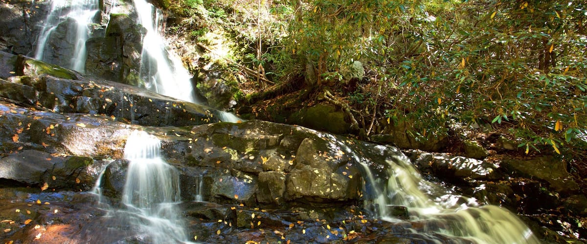 Great Smoky Mountains National Park featuring a river or creek and a waterfall