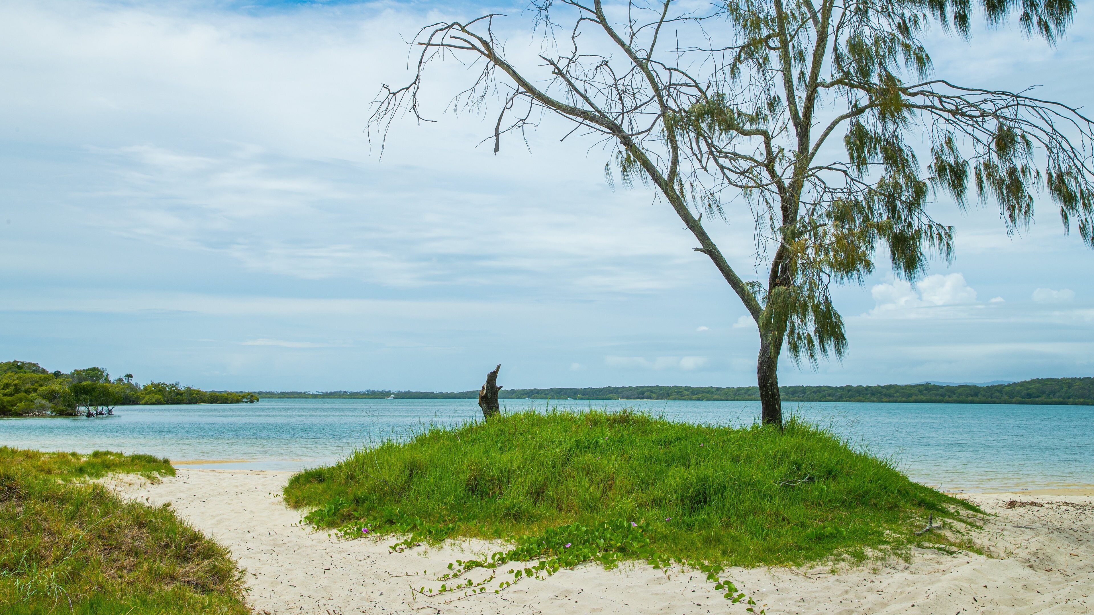 Inskip Point featuring general coastal views and a beach