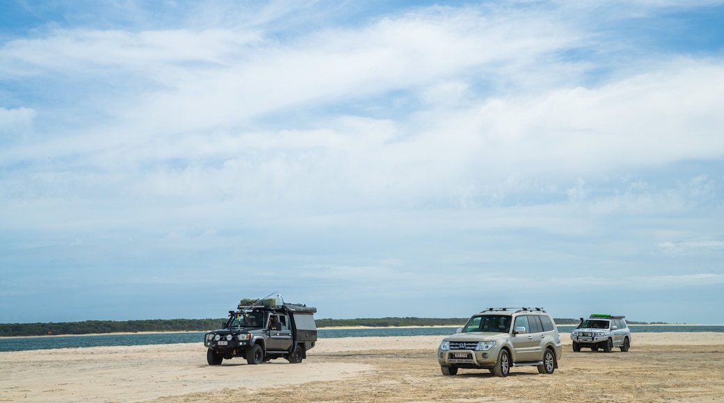 Inskip Point featuring a beach, general coastal views and 4 wheel driving