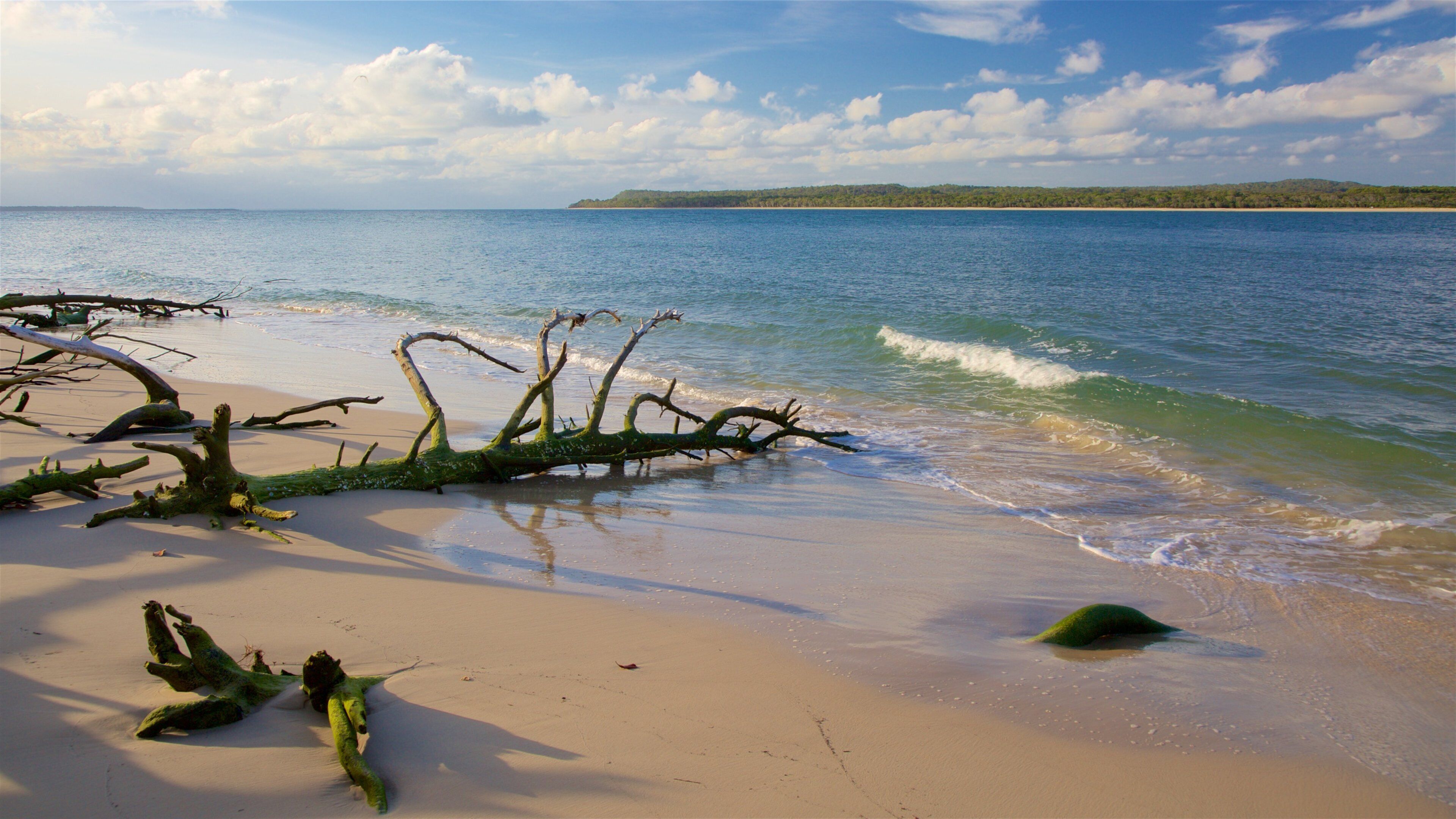 Inskip Point which includes general coastal views, a beach and a sunset