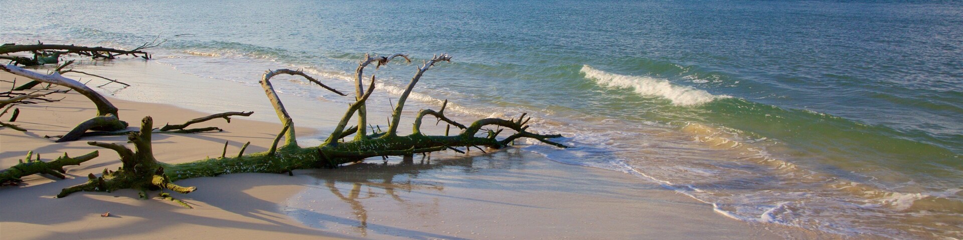 Inskip Point which includes general coastal views, a beach and a sunset