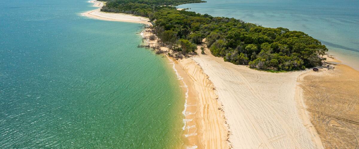 A coastal landscape with a sandy beach, a forested area, and a calm sea.