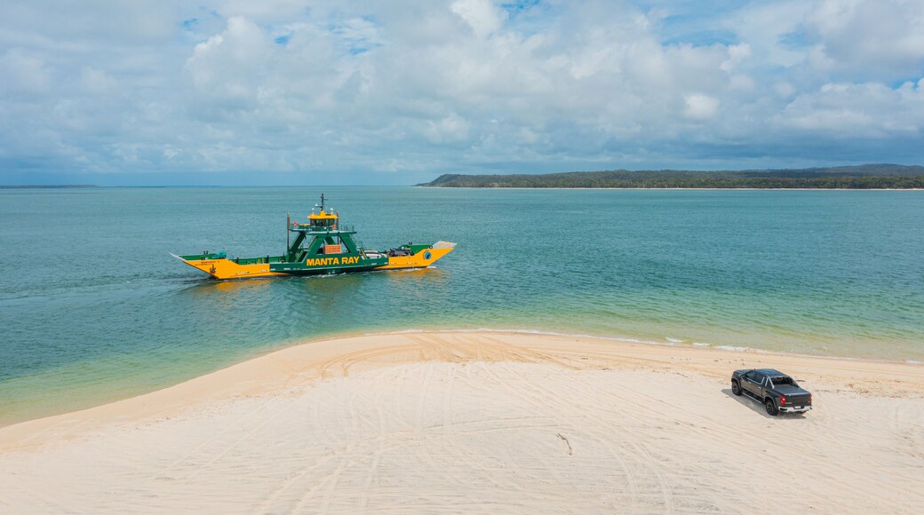 Inskip Point showing general coastal views, a beach and off road driving