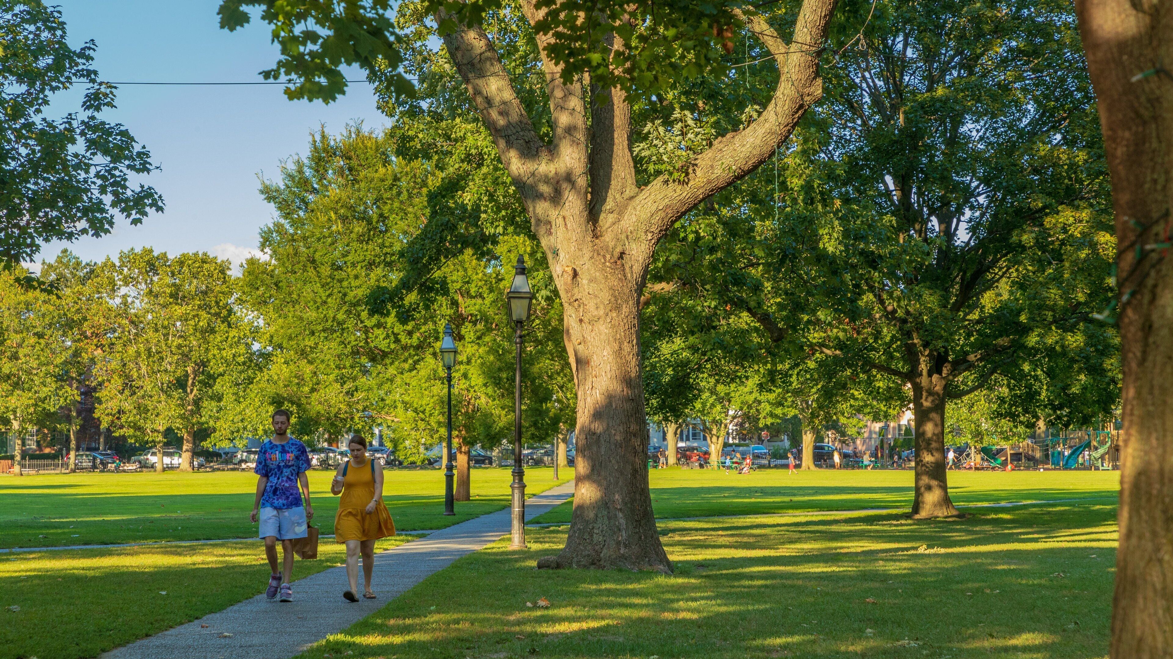 Salem Common featuring a park as well as a couple