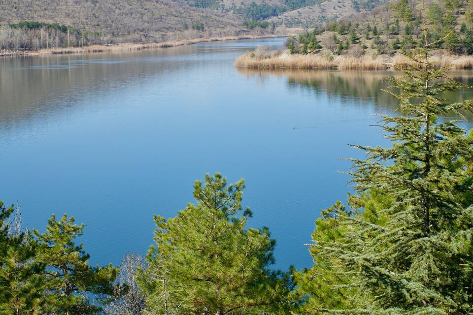 A calm lake surrounded by dense pine trees and a hilly landscape.