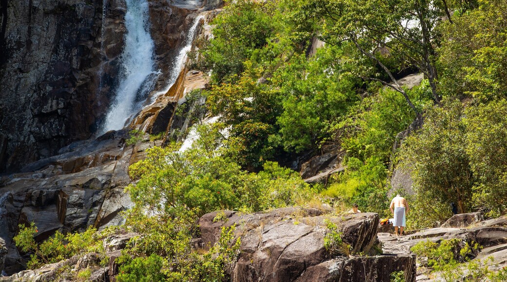 Behana Gorge featuring a waterfall as well as an individual male