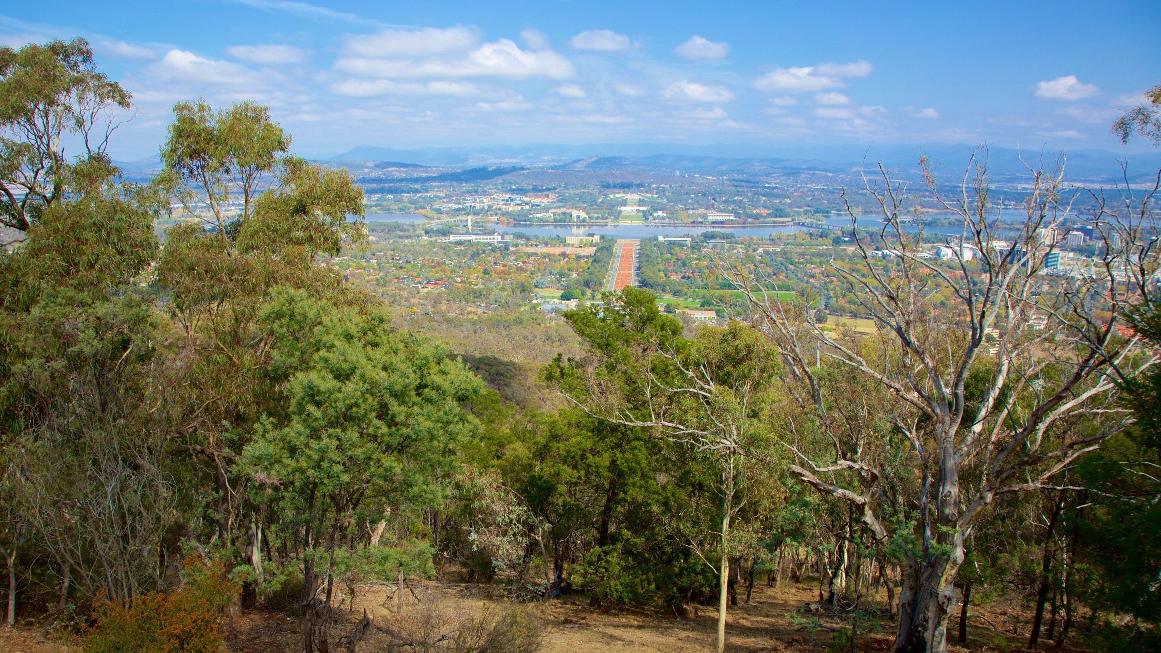 Mount Ainslie which includes landscape views
