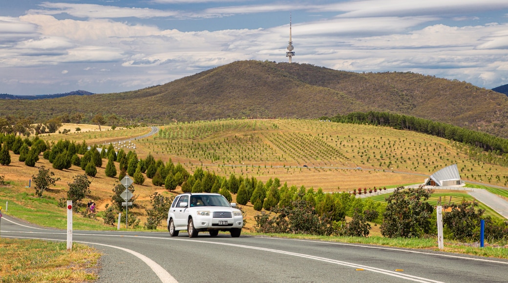 National Arboretum Canberra which includes landscape views and tranquil scenes