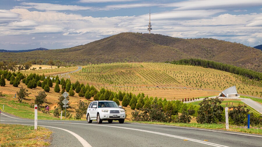 National Arboretum Canberra which includes landscape views and tranquil scenes