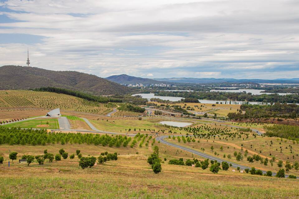 A hilly landscape with a road, trees, and a distant tower.