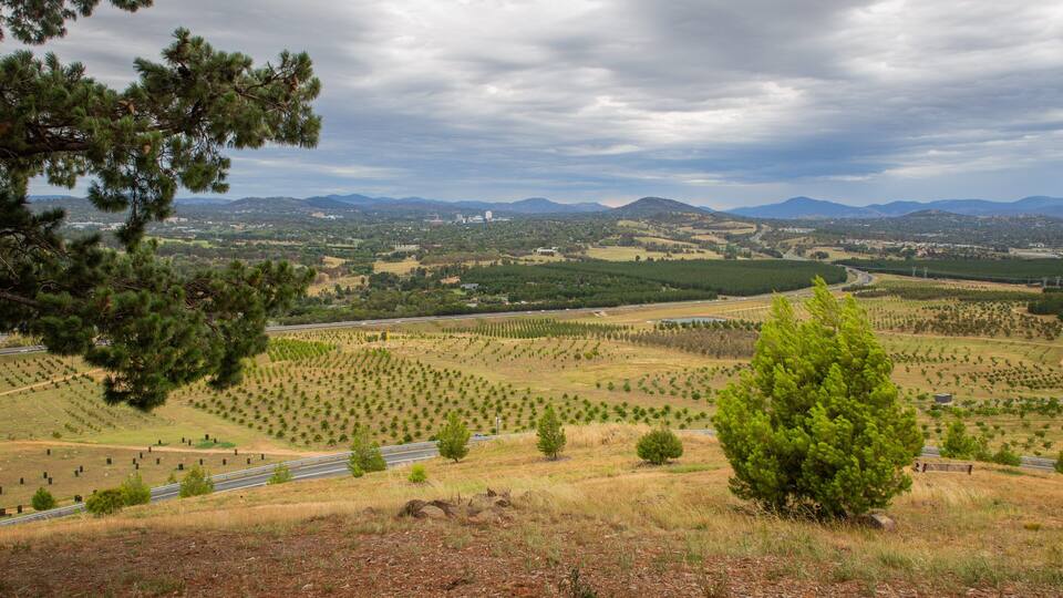A landscape with a road, pine trees, and distant mountains.