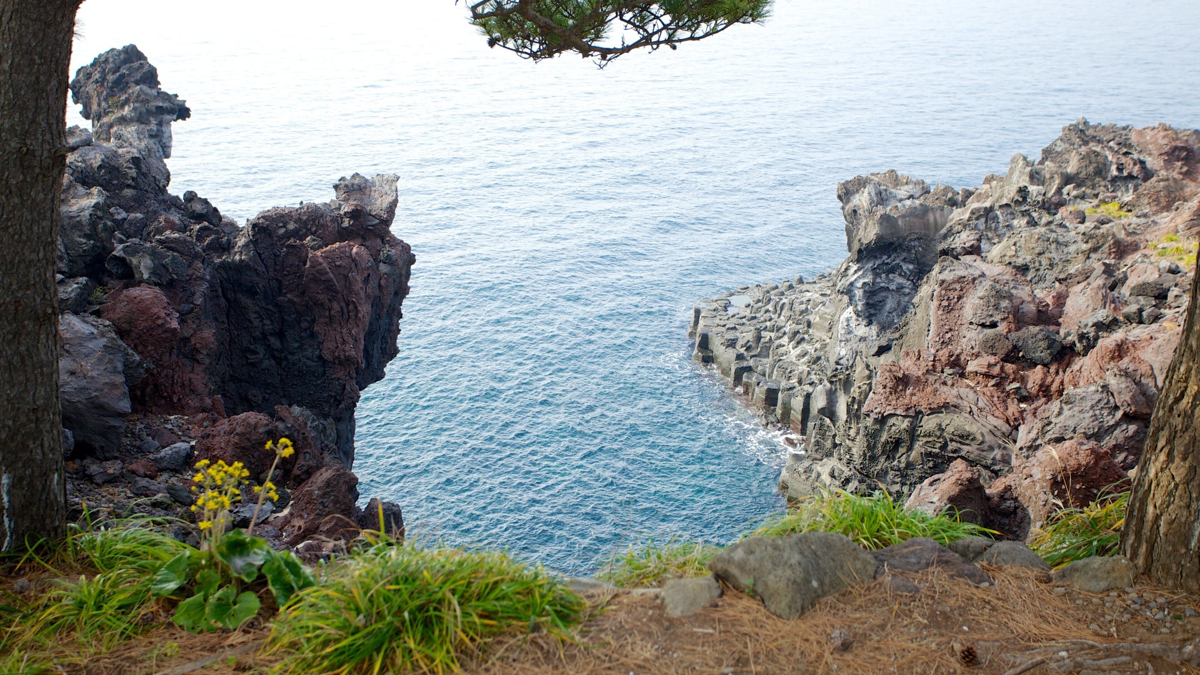 Cheju toont landschappen en rotsachtige kustlijn